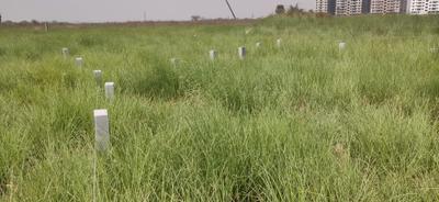 Image of 1200 Sq.ft Residential Plot / Land for sale in Danapur, Patna for Rs. 2640000