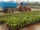 Bhogapuram Main Image 1