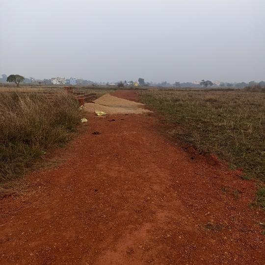 Tamando Main Image 1