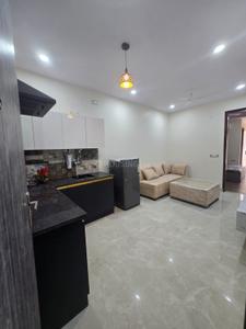 Hall Image of 980 Sq.ft 1 BHK Builder Floor for rent in Sector 14 Gurgaon for Rs. 32000