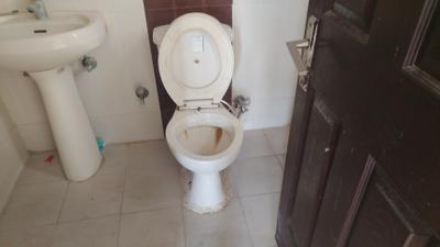 Image of 1250 Sq.ft 2 BHK Apartment / Flat for rent in Ajnara Gen X, Crossings Republik, Ghaziabad for Rs. 18000
