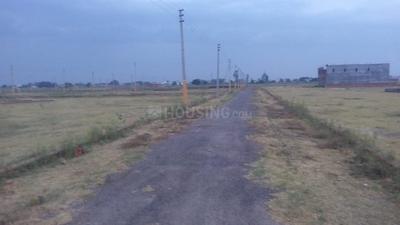 MR CITY Plot View 2
