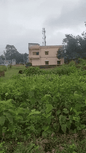 Namkum Plot View 3