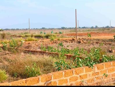 Patrapada Plot View 2
