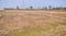Bihta Plot View 2
