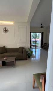 Hall Image of 1600 Sq.ft 3 BHK Apartment / Flat for rent in Attavar Mangalore for Rs. 50000