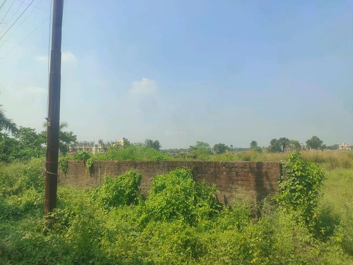 Metroplex City Main Image 1