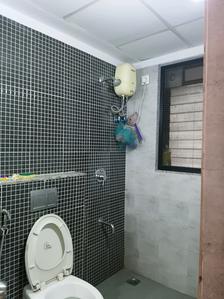 Common Bathroom Image of 962 Sq.ft 2 BHK Apartment / Flat for rent in Lodha Palava Downtown, Palava Phase 2 Thane for Rs. 22000