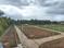 Yesh Prakruthi Plot View 2