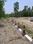 Dhartal green shakubhari Estate  Plot View 2