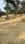 Lucknow green city  Main Image 1