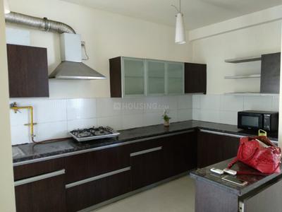Kitchen Image of 1935 Sq.ft 3 BHK Apartment / Flat for sale in ABA Olive County, Vasundhara Ghaziabad for Rs. 26900000