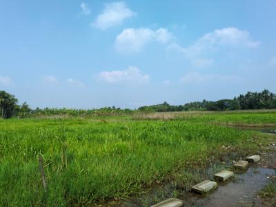 Image of 1440 Sq.ft Residential Plot / Land for sale in Natures Paradise, Joka, Kolkata for Rs. 299999