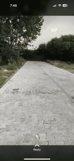 Dera Mandi Main Image 1