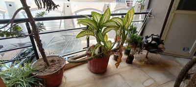 Balcony Image of 2200 Sq.ft 3 BHK Apartment / Flat for rent in Hennur Bengaluru for Rs. 65000