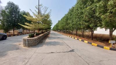 Residential Plot