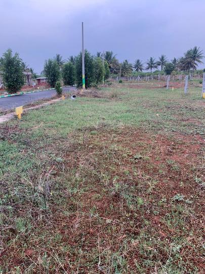 Shri Krishna Oasis Main Image 1