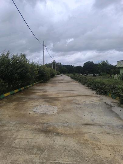 Telecom wood land city Main Image 1