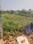 Annanji, Vadaveeranaickenpatty Plot View 2