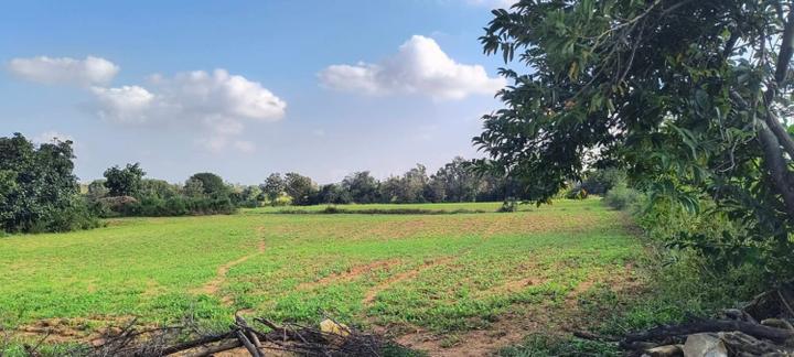 Shankarpally Main Image 1