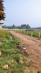 Image of 720 Sq.ft Residential Plot / Land for sale in Mahespur, Bhagalpur for Rs. 2500000