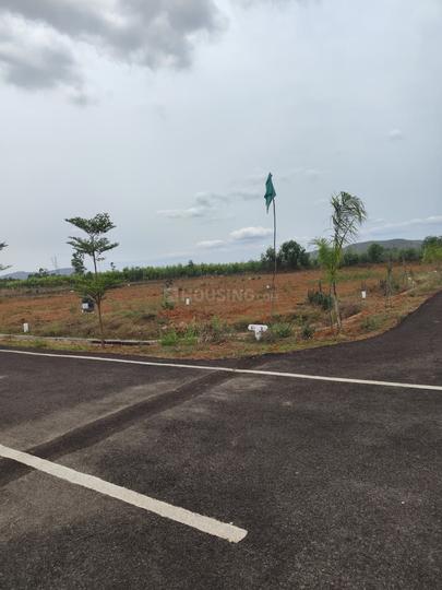 SHYAM AVENUE Main Image 1
