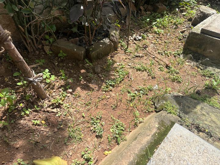 Mabes sites Main Image 1