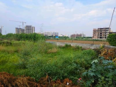 Image of 171 Sq.ft Residential Plot / Land for sale in Skywhales Vienna Greens II, Sector 99A, Gurgaon for Rs. 31515000