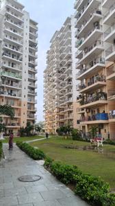 Image of 600 Sq.ft 1 BHK Apartment / Flat for rent in ROF Amaltas, Sector 92, Gurgaon for Rs. 16000