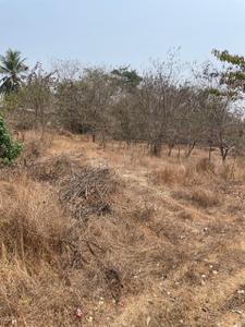 Image of 1100 Sq.ft Residential Plot / Land for sale in Panjim, Goa for Rs. 95000000