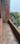 Alok Realtors Balcony 1