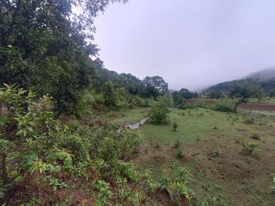 Kurungwadi Plot View 2