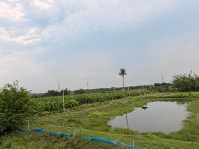 Image of 5000 Sq.ft Residential Plot / Land for sale in Hirapur Colony, Raipur for Rs. 2875000