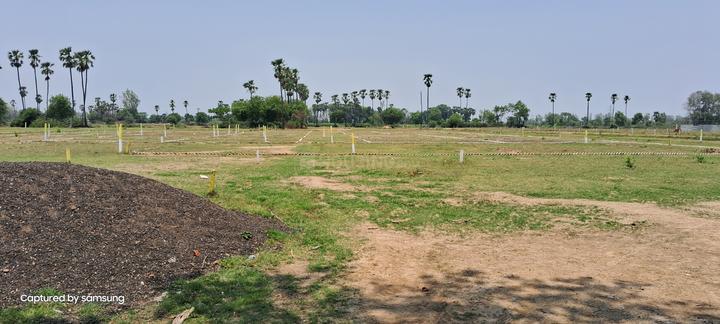 Bihta Main Image 1
