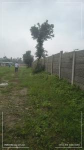 EKTA AVENUE DHARMAWALA CHOOK Plot View 3