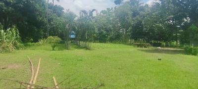 Image of 72000 Sq.ft 3 BHK Farm House for sale in Rajpur, Kolkata for Rs. 100000000