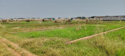 Image of 1620 Sq.ft Residential Plot / Land for sale in Siula, Bhubaneswar for Rs. 1680000