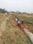 Beldari Chak Plot View 2