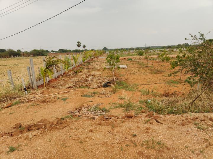 VRR Grand Enclave Main Image 1