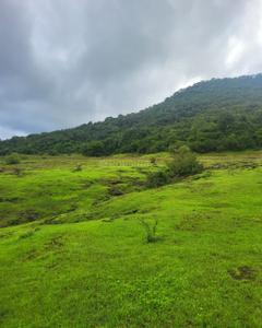 Image of 20000 Sq.ft Residential Plot / Land for sale in Bhor, Pune for Rs. 1800000