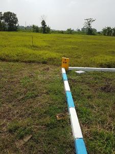Image of 9000 Sq.ft Residential Plot / Land for sale in Thol, Ahmedabad for Rs. 20000000