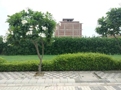 Image of 150 Sq.ft Residential Plot / Land for sale in Mansha Oaks, Sector 98, Faridabad for Rs. 16500000
