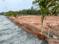 Global garden kovilpalayam Main Image 1