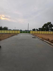 CKP CASTEL Plot View 2