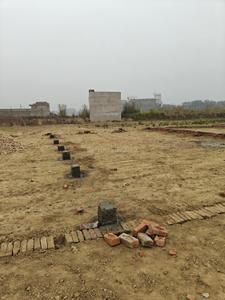 Image of 1250 Sq.ft Residential Plot / Land for sale in Jhalwa, Allahabad for Rs. 3055000