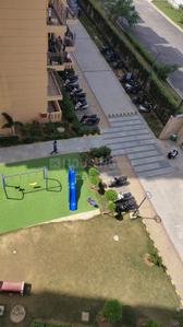 Image of 450 Sq.ft 1 BHK Apartment / Flat for rent in ROF Amaltas, Sector 92, Gurgaon for Rs. 16000