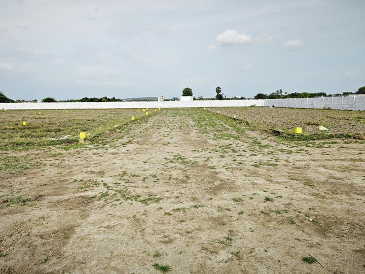 Pavendar Salai, Maraimalai Nagar Main Image 1