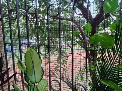 Image of 2160 Sq.ft 3 BHK Apartment / Flat for sale in Matunga East, Mumbai for Rs. 80000000