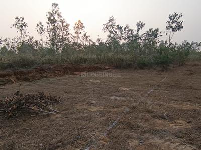 Image of 2150 Sq.ft Residential Plot / Land for sale in Athagarh, Cuttack for Rs. 1850000