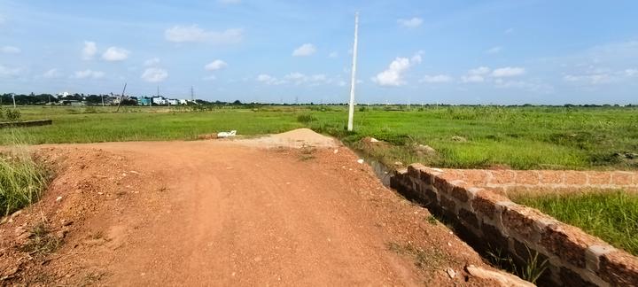 Patrapoda Main Image 1